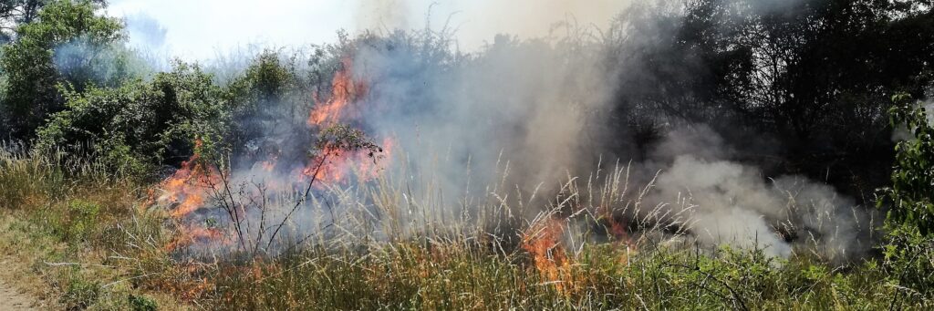 B1 – Flurbrand am Muehlberg