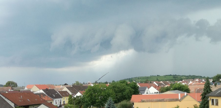 T1 – Auspumparbeiten nach Unwetter
